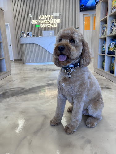 Andy’s Pet Grooming and Daycare