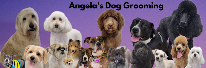 Angela's Dog Grooming
