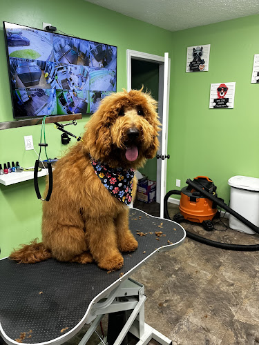 Animal Friends Pet Care