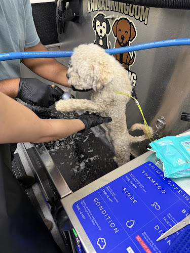 Animal Kingdom Dog Grooming