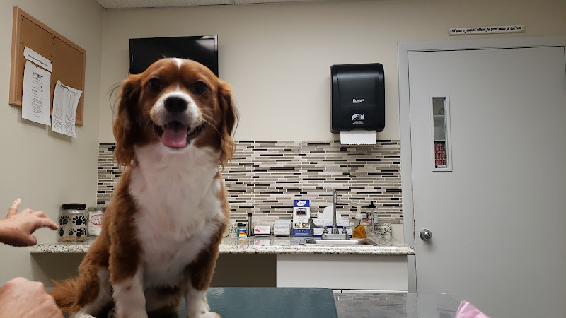 Animal Medical Center