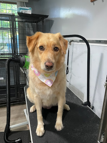 ANIMALAND GROOMING SALON