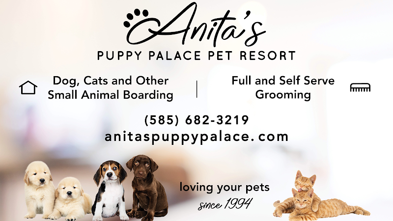Anita's Puppy Palace Mobile Pet Grooming And Boarding Kennels