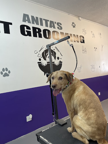 Anita’s pets grooming