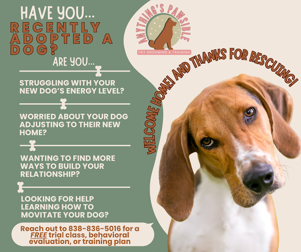 Anything's Pawsible LLC