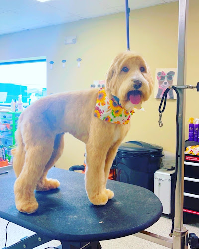 Aprils Furry Tail Mobile Pet Grooming