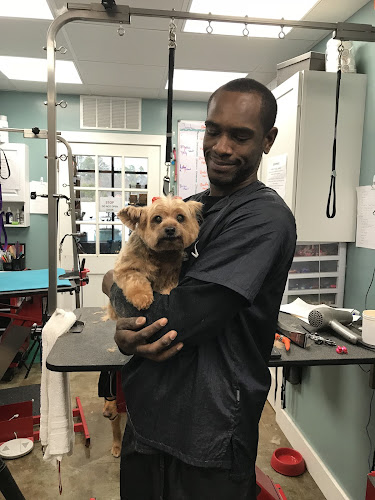 Aqua Dog Grooming Etc.