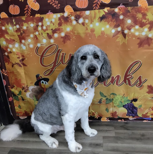 Aria’s Pawsitive Grooming LLC