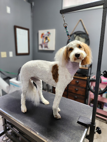 Ashley's Grooming LLC