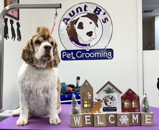 Aunt B's Pet Grooming