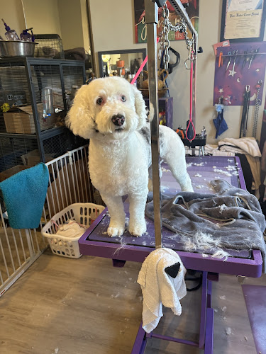 Aunt Jayne's Groom Room