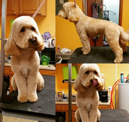 Auntie Liz's Diamonds in the Ruff