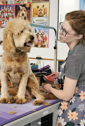 Austina's Pet Grooming