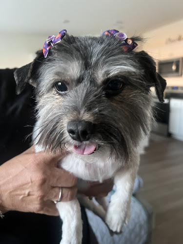 Avi's Little Groom Room