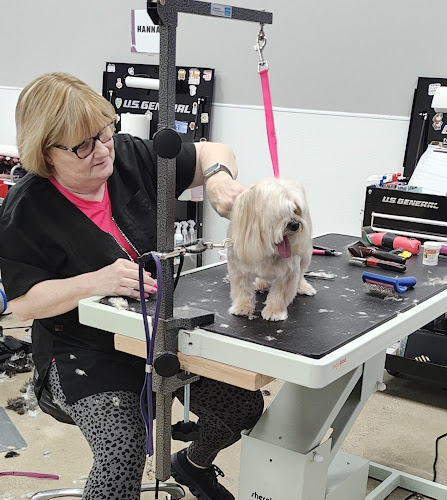 Awesome Paws Pet Salon