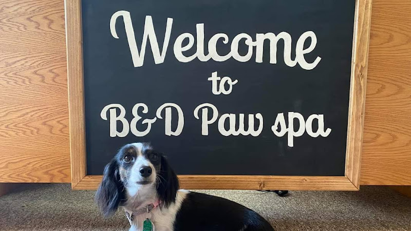 B & D Paw Spa