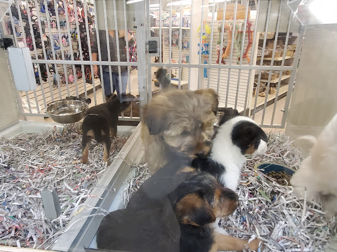 Back To Nature Pets & Grooming