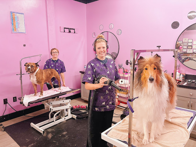 Bailey's Daily Pet Care