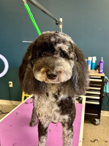 Baileys Bark Club LLC