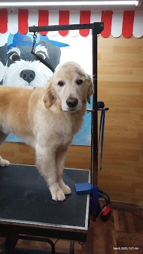 Bark And Bubble Pet Salon