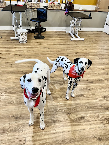 Bark Avenue Groomers