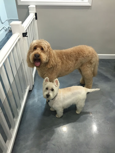 Bark Avenue Grooming