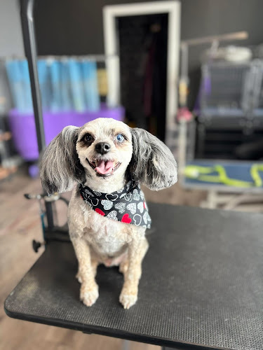 Bark Avenue Pet Grooming