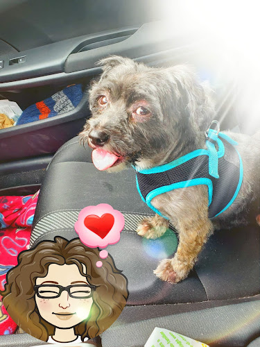 Bark Avenue Pet Salon