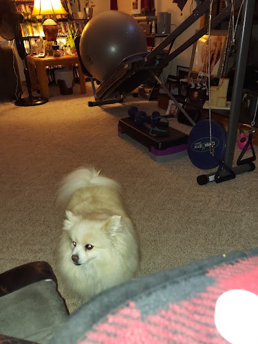 Bark Avenue Pet Salon & Spaw