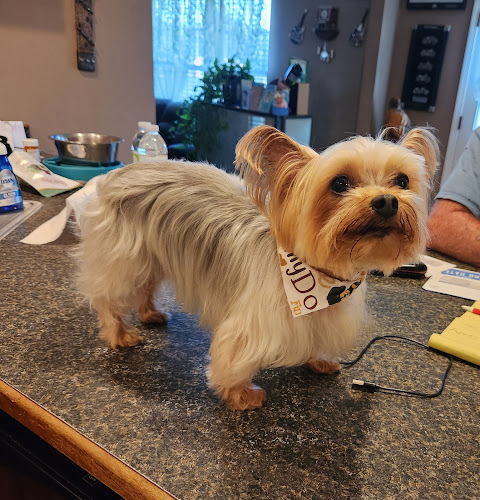 Bark Avenue Republic LLC