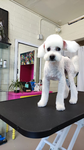 Bark & Bark Dog Grooming Salon LLC.