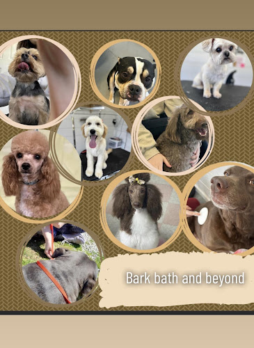 Bark Bath & Beyond Pet Grooming Shop