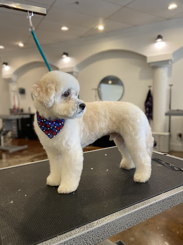 Bark & Bath Pet Salon