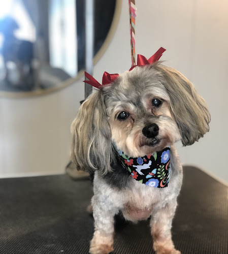 Bark & Bathe Grooming, DayCare and Boarding