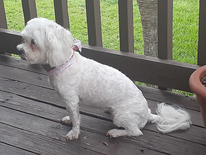 Bark Baths and Beyond PCB