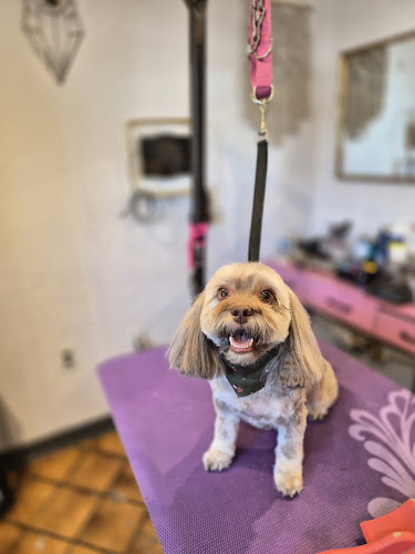 Bark & Bliss Grooming Studio