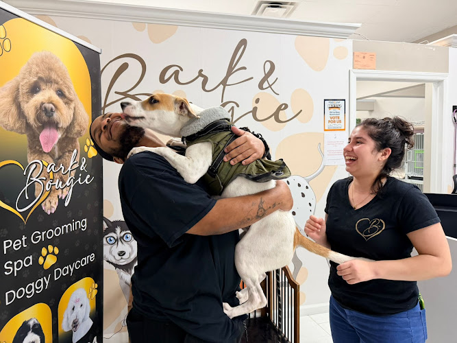 Bark & Bougie Pet Grooming Spa