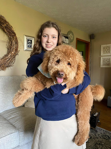 Bark-Fur-Fashion LLC