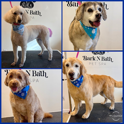 Bark N Bath Pet Spa