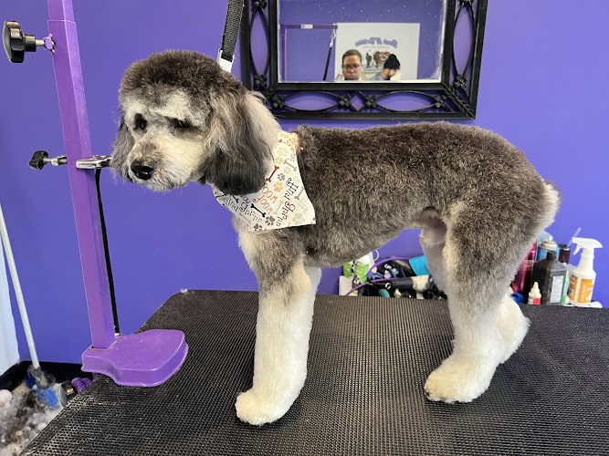 Bark N Bubbles Doggy Day Spa- Flossmoor