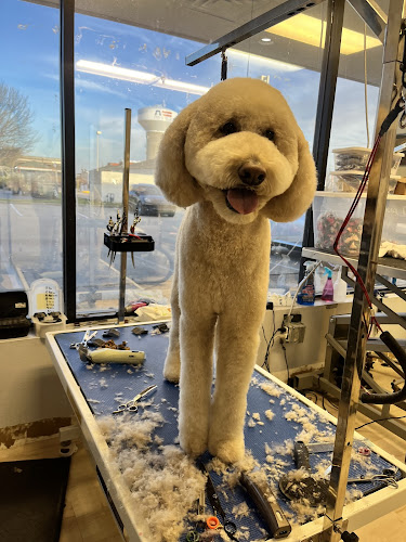 Bark & Purr Pet Grooming