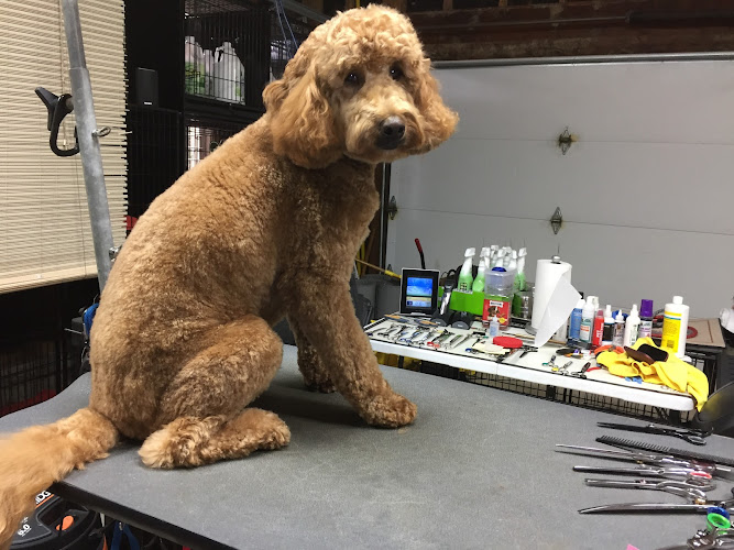 Bark's & Meow's Pet Grooming Salon