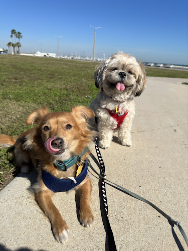 Barkaritaville Pet Resort