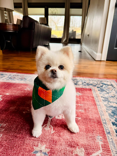 Barkery on Pike (formerly The Shoppe Pet's PurrFur)