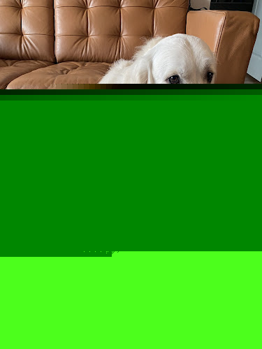 Barkin' Creek Dog Kitchen & Bath - Rainey