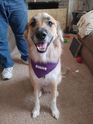 Barking Beauties Bethel Park