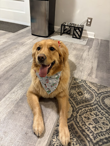 Barking Beauties North Huntingdon