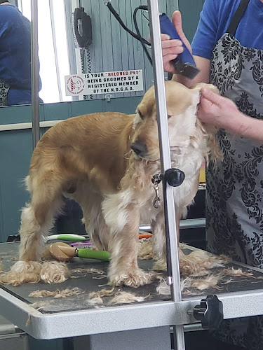 Barking Beauties White Oak