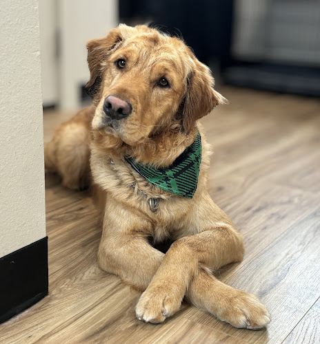 Barking Bubbles, LLC