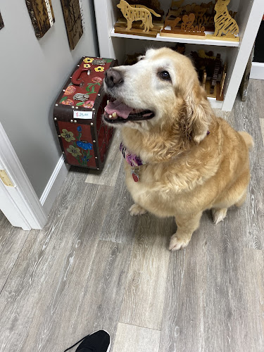 Barking Bubbles MOBILE Pet Salon